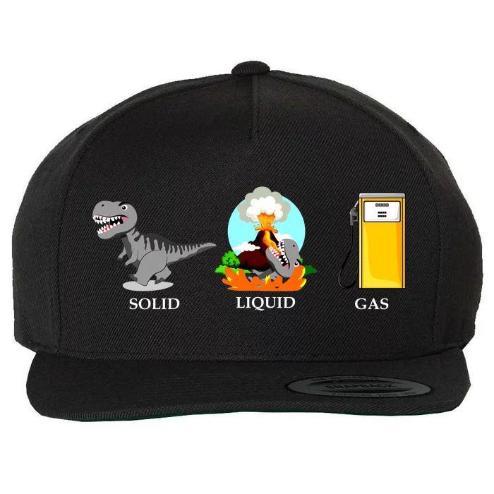 Solid Liquid Gas Dinosaur Wool Snapback Cap