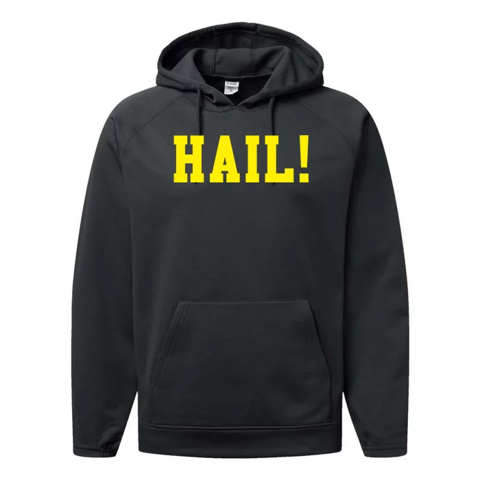 State of Michigan Hail! U M Ann Arbor MI AA Performance Fleece Hoodie