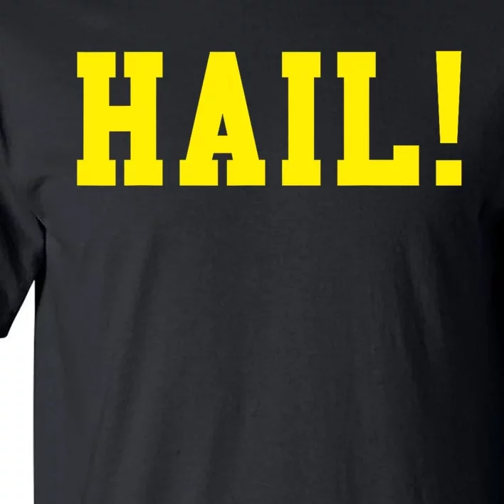 State of Michigan Hail! U M Ann Arbor MI AA Tall T-Shirt