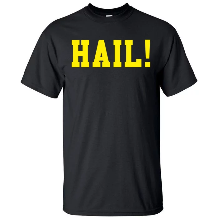 State of Michigan Hail! U M Ann Arbor MI AA Tall T-Shirt