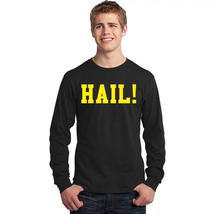 State of Michigan Hail! U M Ann Arbor MI AA Tall Long Sleeve T-Shirt