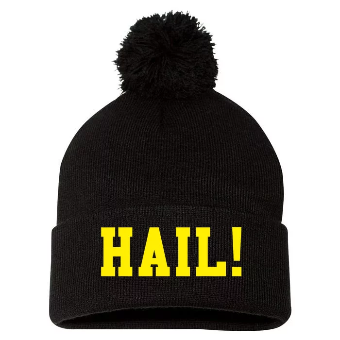 State of Michigan Hail! U M Ann Arbor MI AA Pom Pom 12in Knit Beanie