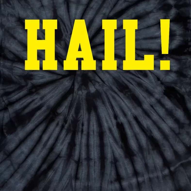 State of Michigan Hail! U M Ann Arbor MI AA Tie-Dye T-Shirt