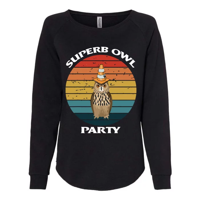 Superb Owl Party Retro Vintage Owl Lover Womens California Wash Sweatshirt