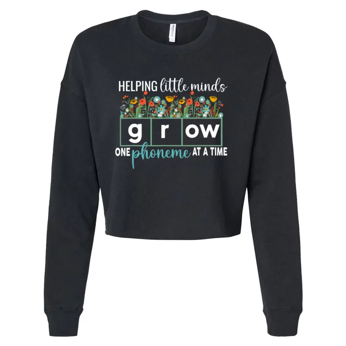 Science Of Reading Helping A Little Minds Grow Phonics Women Cropped Pullover Crew