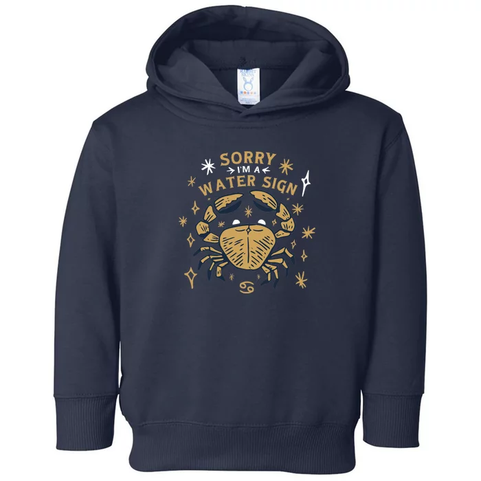 Sorry I'm A Water Sign Zodiac Birthday Toddler Hoodie