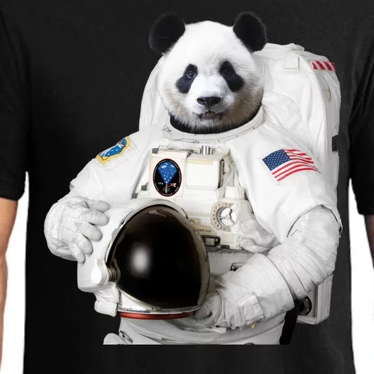 Space Panda USA Astronaut Pajama Set