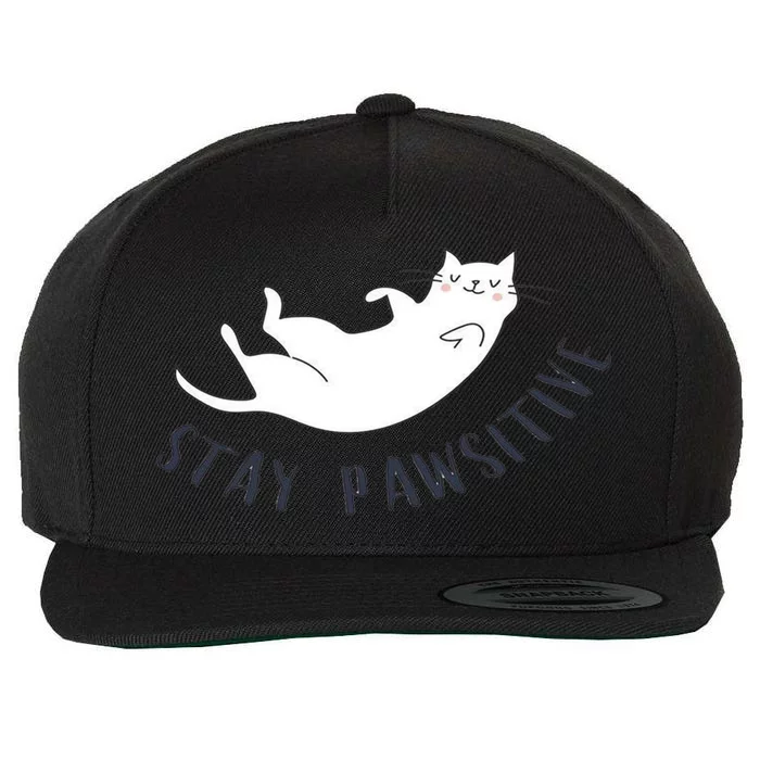 Stay Pawsitive Cat Illustration Great Gift Wool Snapback Cap