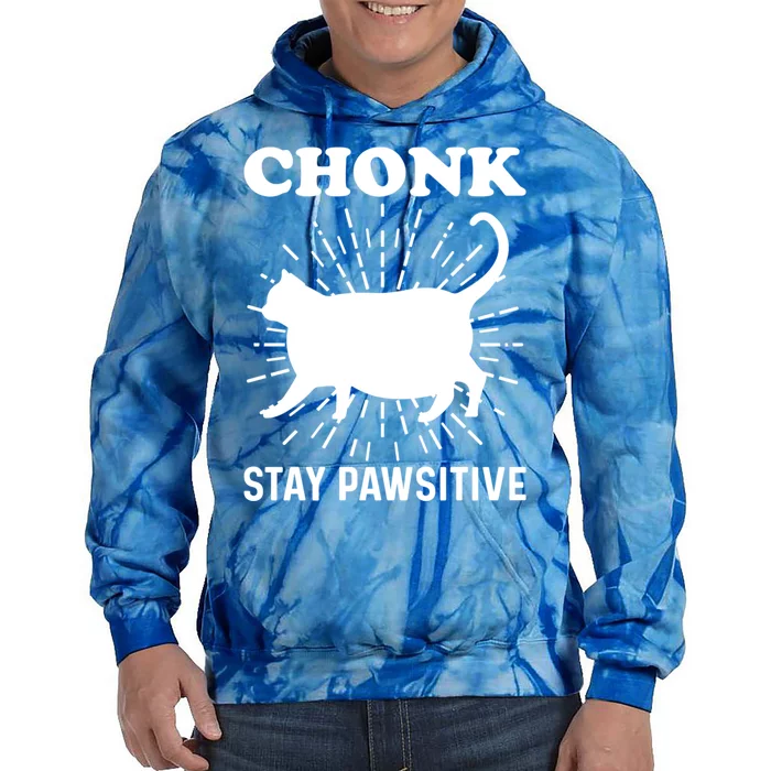 Stay Pawsitive Chonk Cat Gift Tie Dye Hoodie