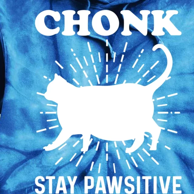 Stay Pawsitive Chonk Cat Gift Tie Dye Hoodie