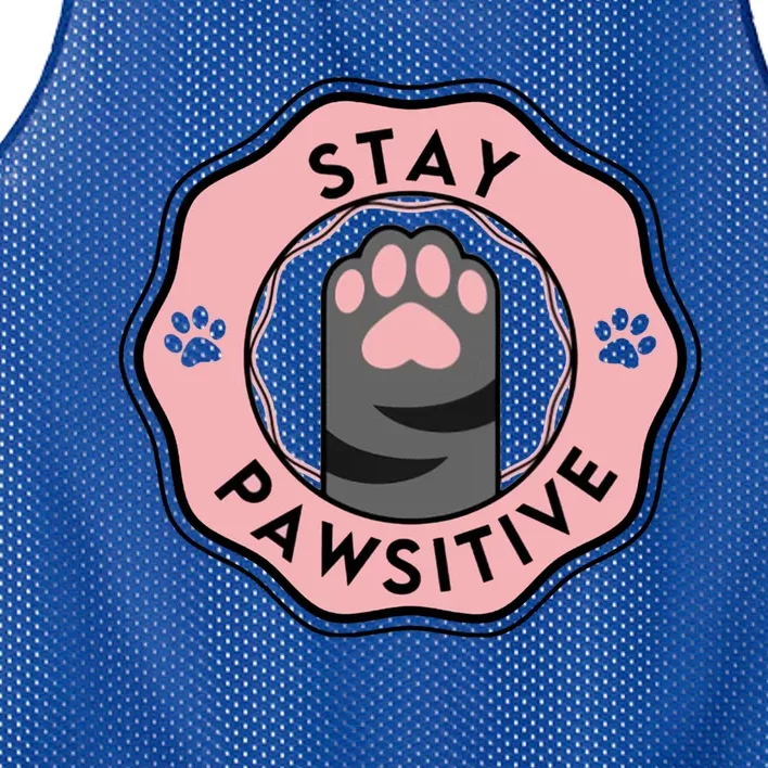 Stay Pawsitive Cat Stay Pawsitive Cute Gift Mesh Reversible Basketball Jersey Tank