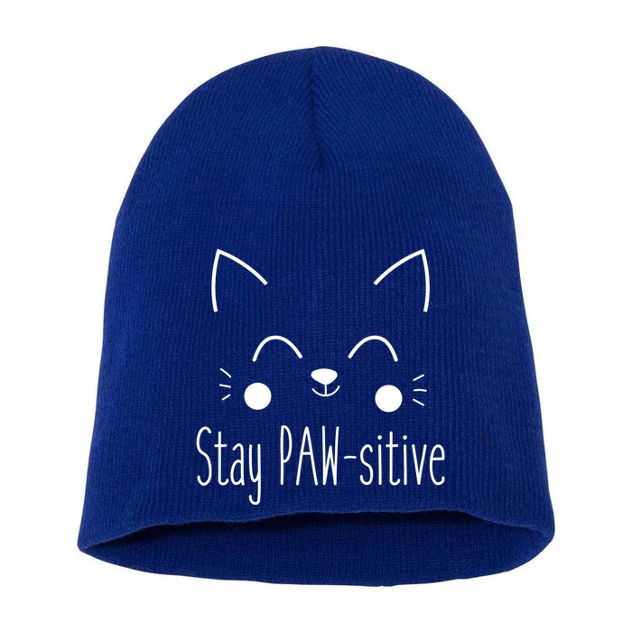 Stay Pawsitive Cute Cat Kitten Gift Short Acrylic Beanie