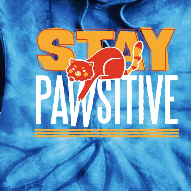 Stay Pawsitive Cute Stay Positive Cat Lover Gift Tie Dye Hoodie