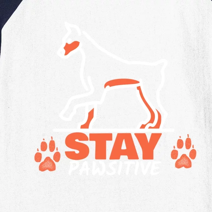 Stay Pawsitive Cool Gift Baseball Sleeve Shirt