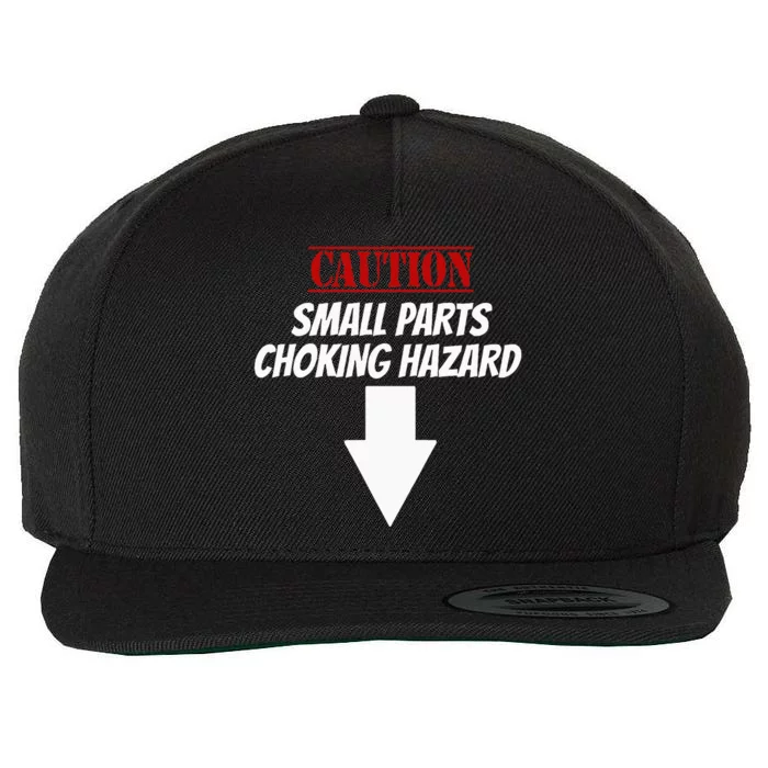 Small Parts Choking Hazard Funny Embarrassing Inappropriate Wool Snapback Cap