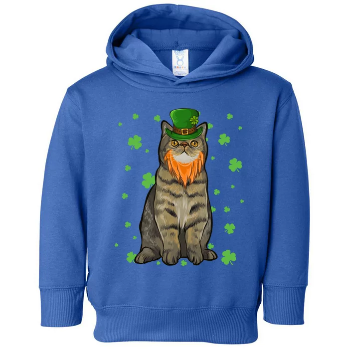 St Patricks Day Exotic Shorthair Cat Shamrock Gift Toddler Hoodie