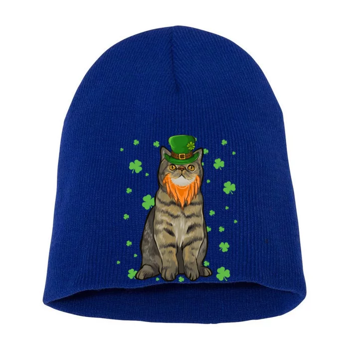 St Patricks Day Exotic Shorthair Cat Shamrock Gift Short Acrylic Beanie