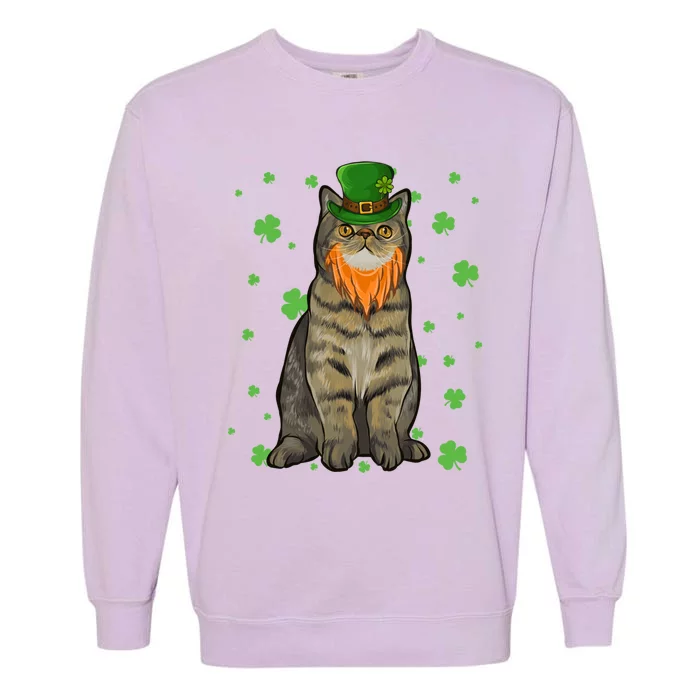 St Patricks Day Exotic Shorthair Cat Shamrock Gift Garment-Dyed Sweatshirt