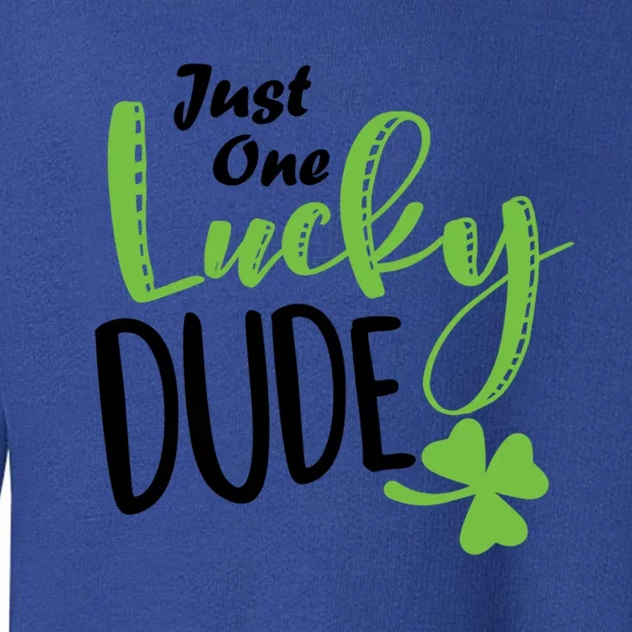 St Patricks Day Lucky Just One Lucky Dude Cool Gift Toddler Sweatshirt