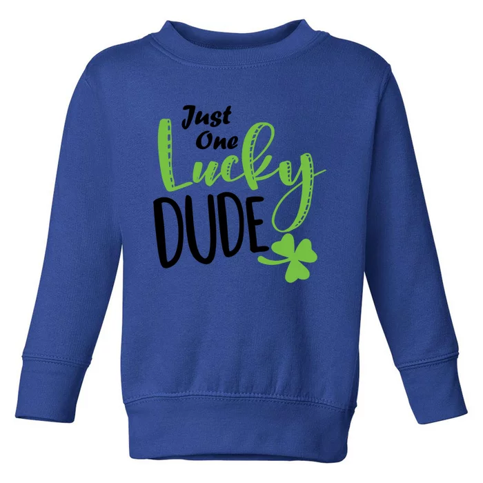 St Patricks Day Lucky Just One Lucky Dude Cool Gift Toddler Sweatshirt