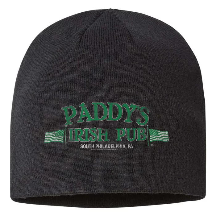 St Patricks Day, Paddys Irish Pub, Funny Irish, St Patricks Day Drinking 8 1/2in Sustainable Knit Beanie