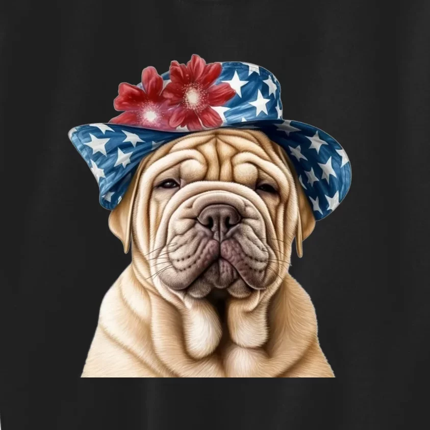 Shar Pei Dog USA Flag Cute Shar Pei Puppy Hat Kids Sweatshirt