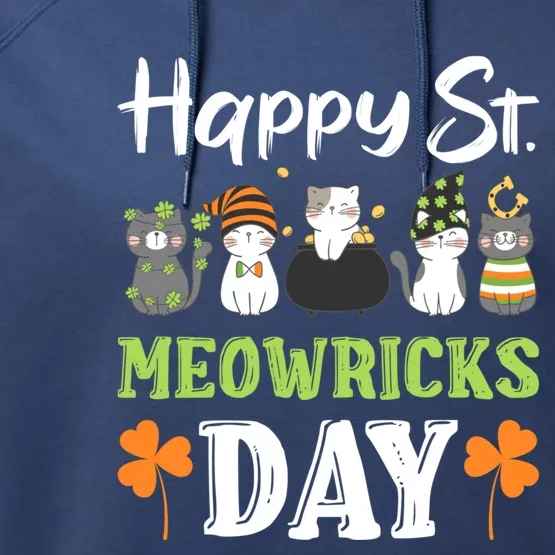 St Patricks Day Outfit Cute Cats Gift Performance Fleece Hoodie