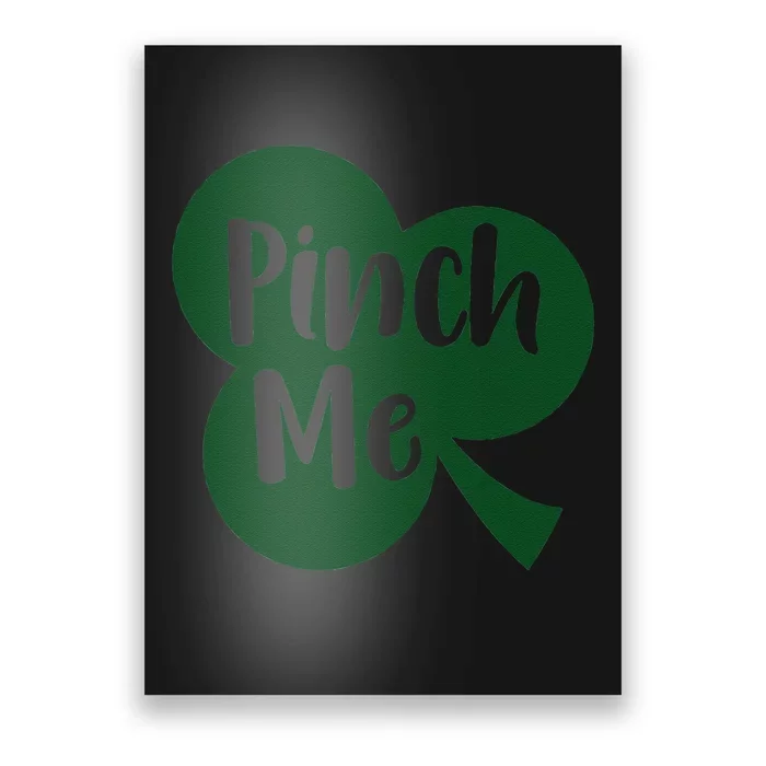 Saint Patrick's Day Pinch Me Paddy's Day March 17 Design Cute Poster