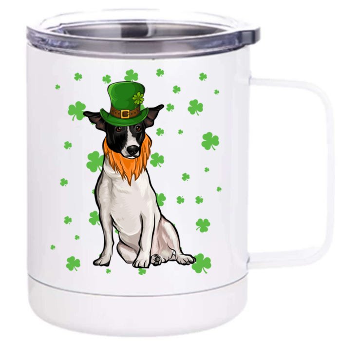 St Patricks Day Rat Terrier Dog Shamrock Gift Cool Gift Front & Back 12oz Stainless Steel Tumbler Cup