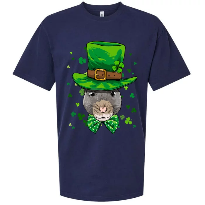 St Patrick's Day Leprechaun Rat Mouse Shamrock Rat Lover Gift Sueded Cloud Jersey T-Shirt