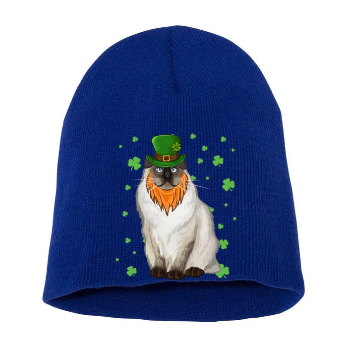 St Patricks Day Bir Cat Shamrock Gift Short Acrylic Beanie