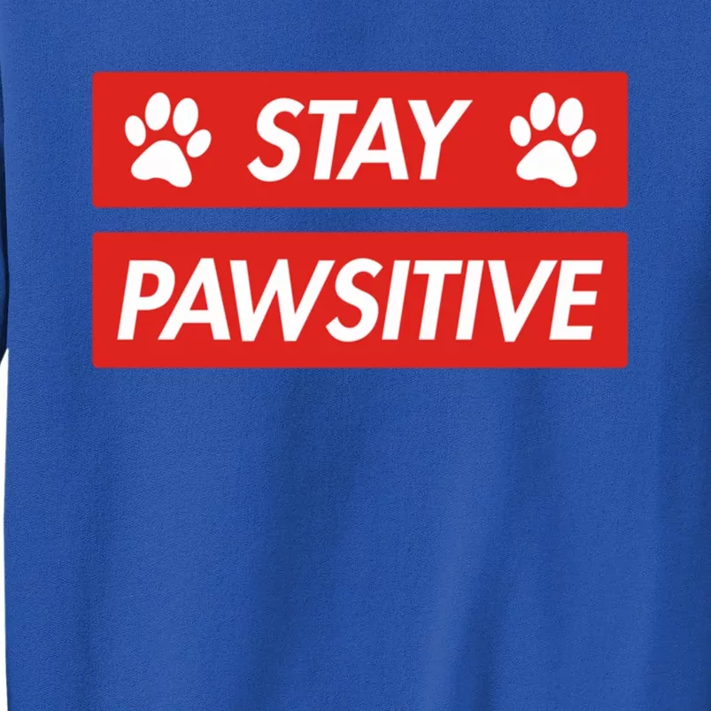 Stay Pawsitive Funny Dog Lovers Gift Meaningful Gift Tall Sweatshirt