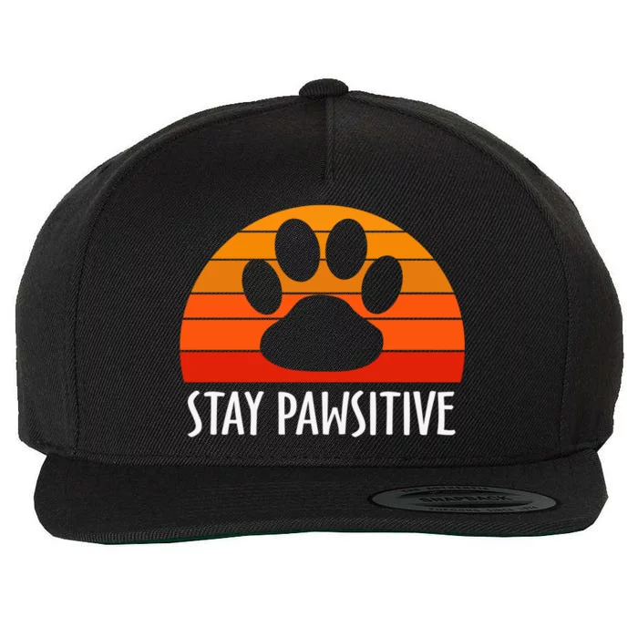 Stay Pawsitive Funny Dog Paw Graphic Vintage Cute Gift Wool Snapback Cap