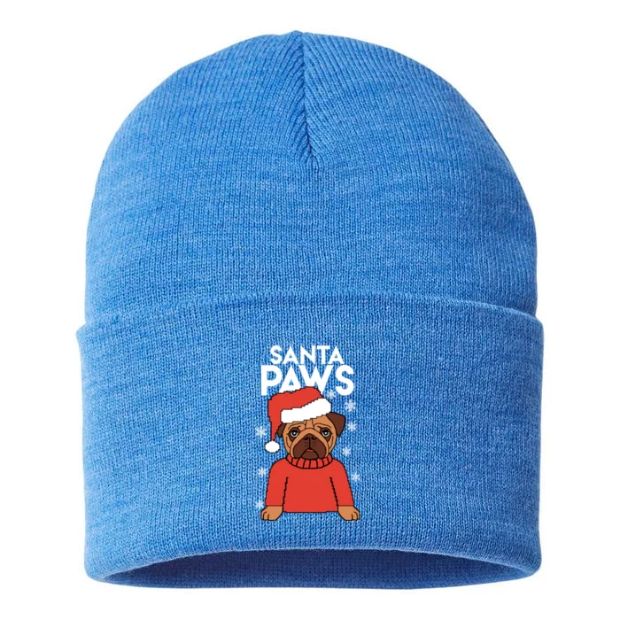 Santa Paws Gift Sustainable Knit Beanie