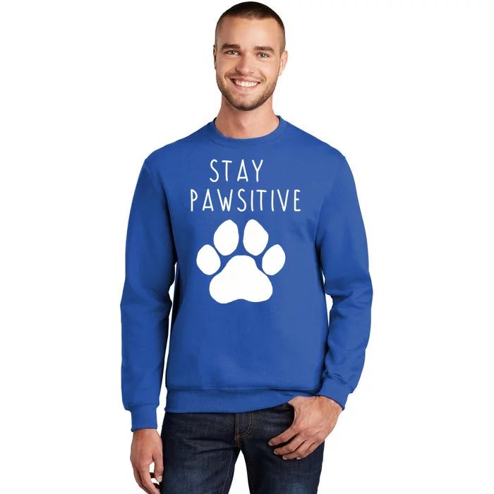 Stay Pawsitive Gift Sweatshirt