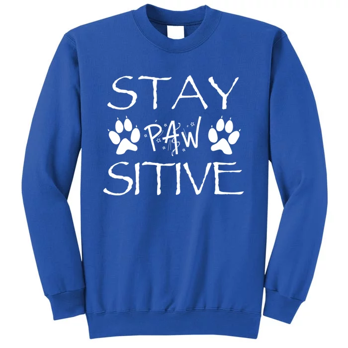 Stay Pawsitive Gift Sweatshirt