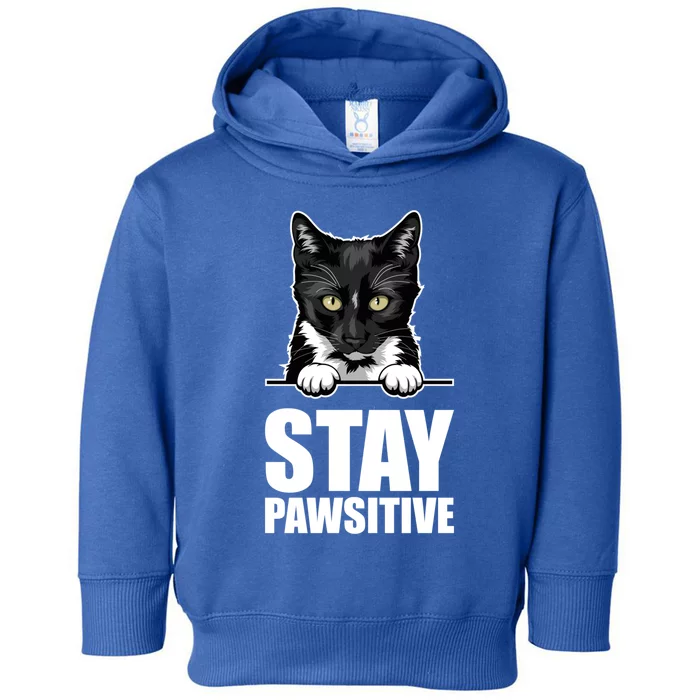 Stay Pawsitive Gift Toddler Hoodie