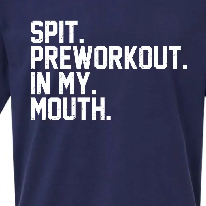 Spit Preworkout In My Mouth Sueded Cloud Jersey T-Shirt