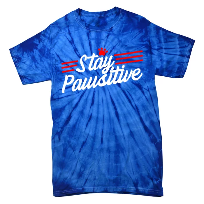 Stay Pawsitive Meaningful Gift Tie-Dye T-Shirt