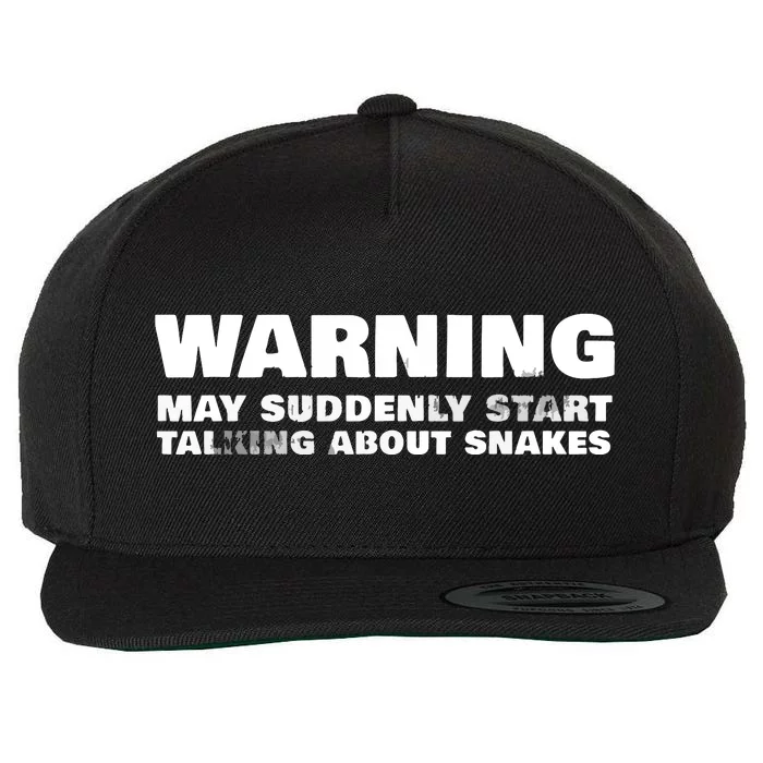 Snake Pet Owner Apparel Reptile Snakes Gift Petting Zoo Wool Snapback Cap