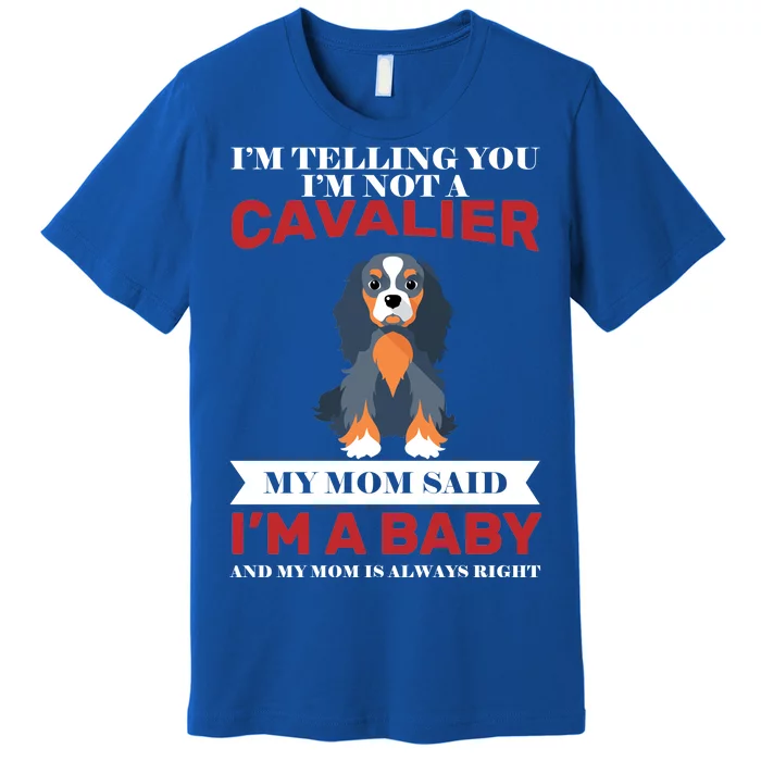 Spoiled King Charles Cavalier Premium T-Shirt