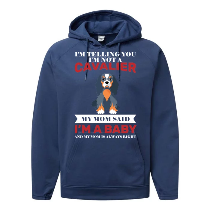 Spoiled King Charles Cavalier Performance Fleece Hoodie