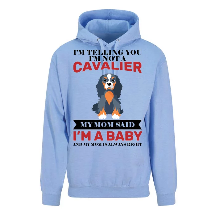 Spoiled King Charles Cavalier Unisex Surf Hoodie