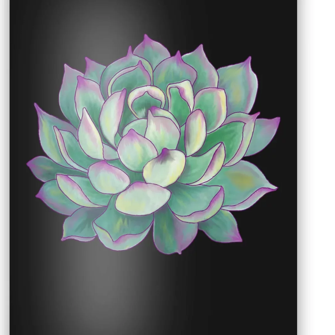 Succulent Plant Poster