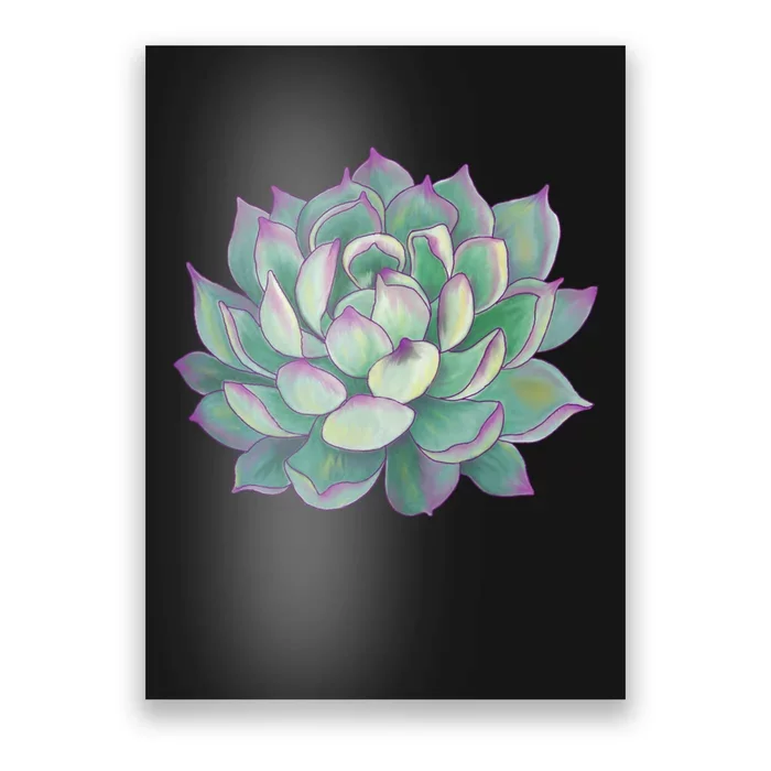 Succulent Plant Poster