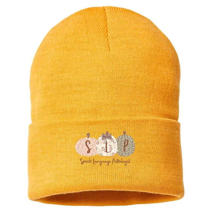 Slp Pumpkin Speech Language Pathologist Fall Autumn Sustainable Knit Beanie