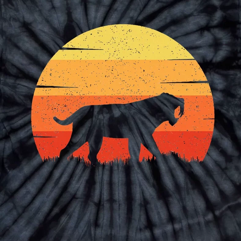 Smilodon Prehistoric Saber Tooth Tiger Mountain Sabertooth Tie-Dye T-Shirt