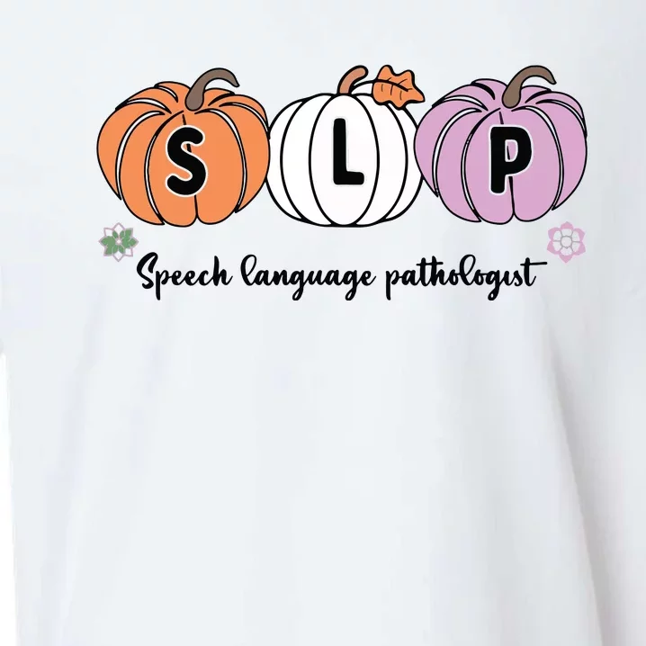 Slp Pumpkin Speech Language Pathologist Grade Fall Autumn Sueded Cloud Jersey T-Shirt