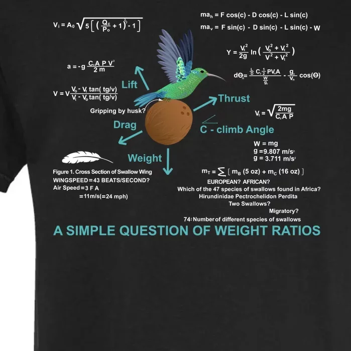 Simple Question Of Weight Ratios Garment-Dyed Heavyweight T-Shirt