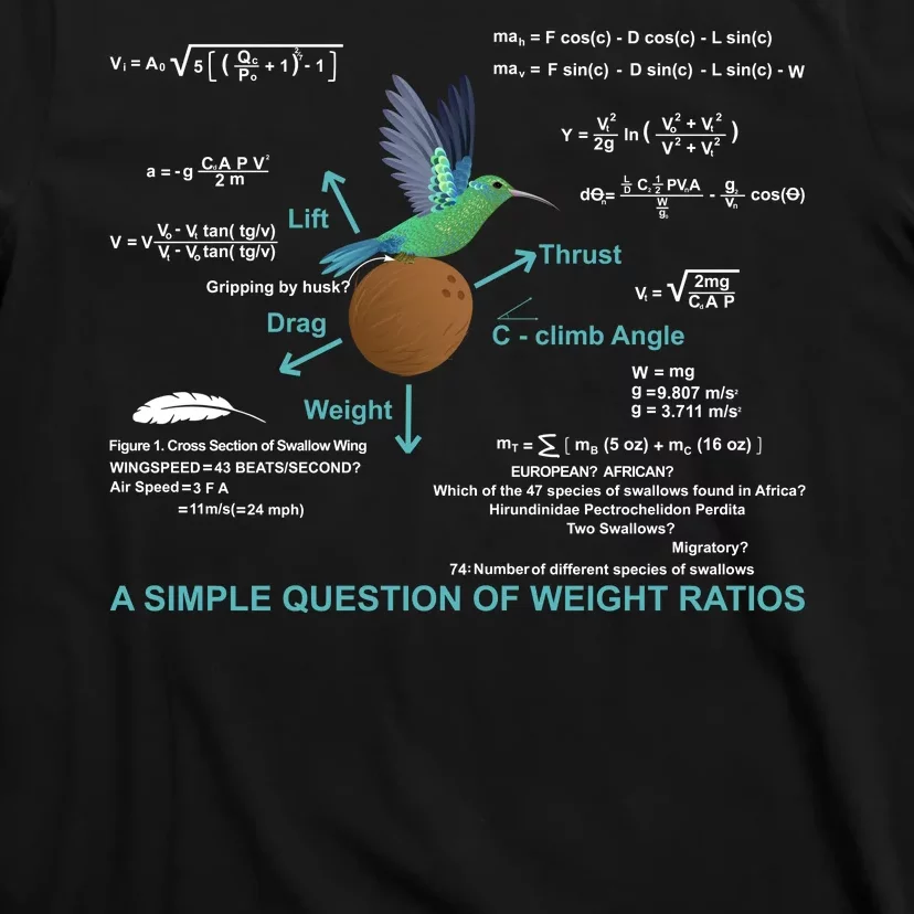 Simple Question Of Weight Ratios T-Shirt